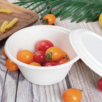 Bagasse bowl
