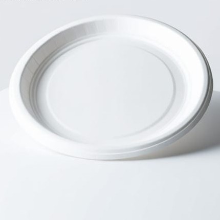 Disposable plate